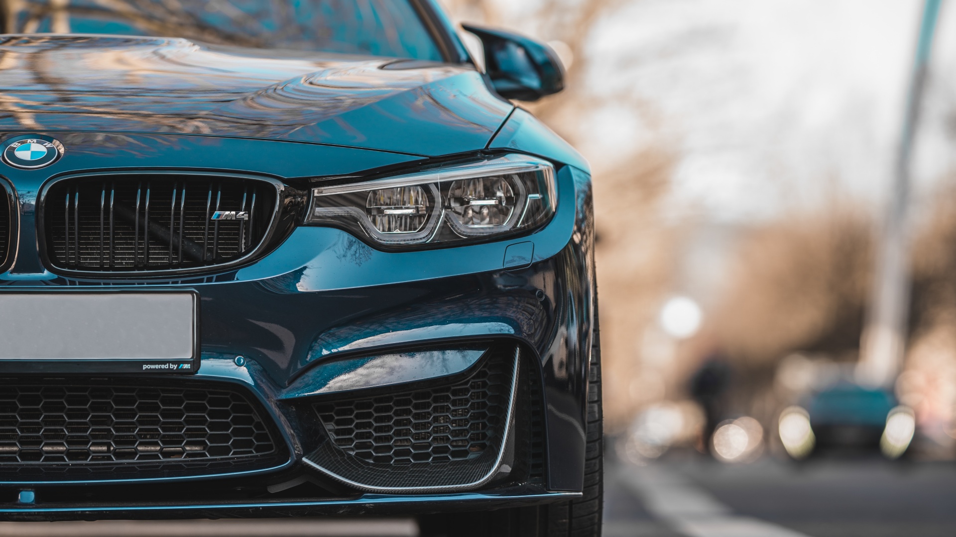 BMW Service Book