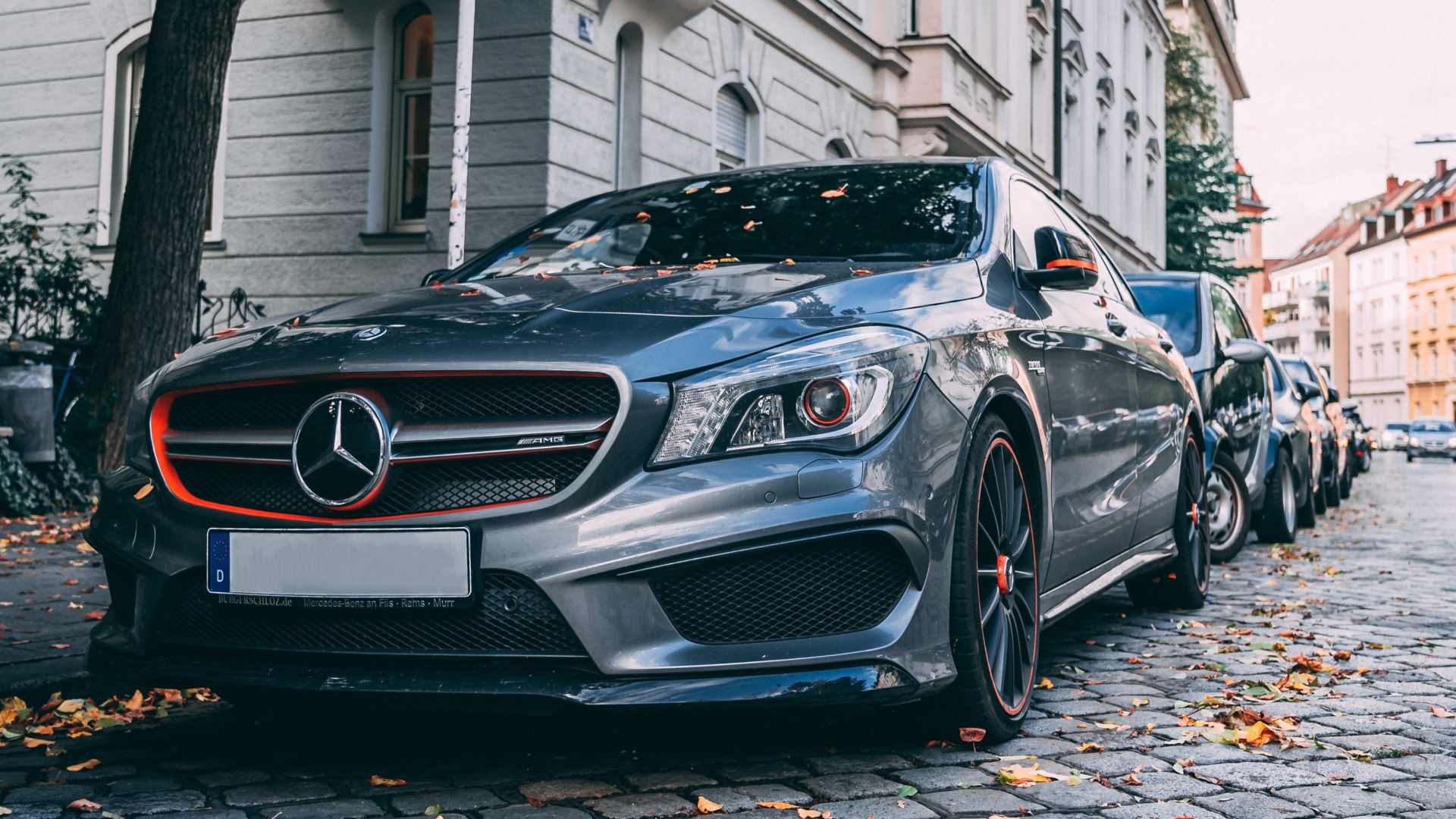 Mercedes Service Book